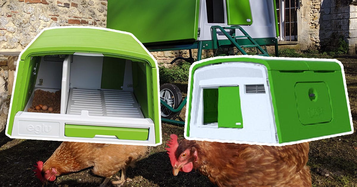 découvrez notre poulailler automatique, la solution idéale pour faciliter l'élevage de vos poules. profitez d'un système innovant qui assure le bien-être de vos volailles tout en vous permettant de gérer leur alimentation et leur espace de manière autonome. simplifiez votre quotidien tout en offrant à vos poules un environnement sain et sécurisé.