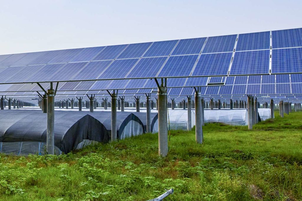 découvrez notre guide complet sur le prêt photovoltaïque, une solution financière idéale pour financer vos projets d'énergie solaire. profitez d'une aide sur les conditions, taux d'intérêt et démarches pour bénéficier d'une installation photovoltaïque tout en réduisant vos factures d'électricité.