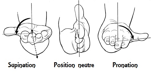 découvrez tout ce qu'il faut savoir sur la prise neutre : son fonctionnement, son utilisation et son importance dans le circuit électrique pour garantir votre sécurité et optimiser vos installations.