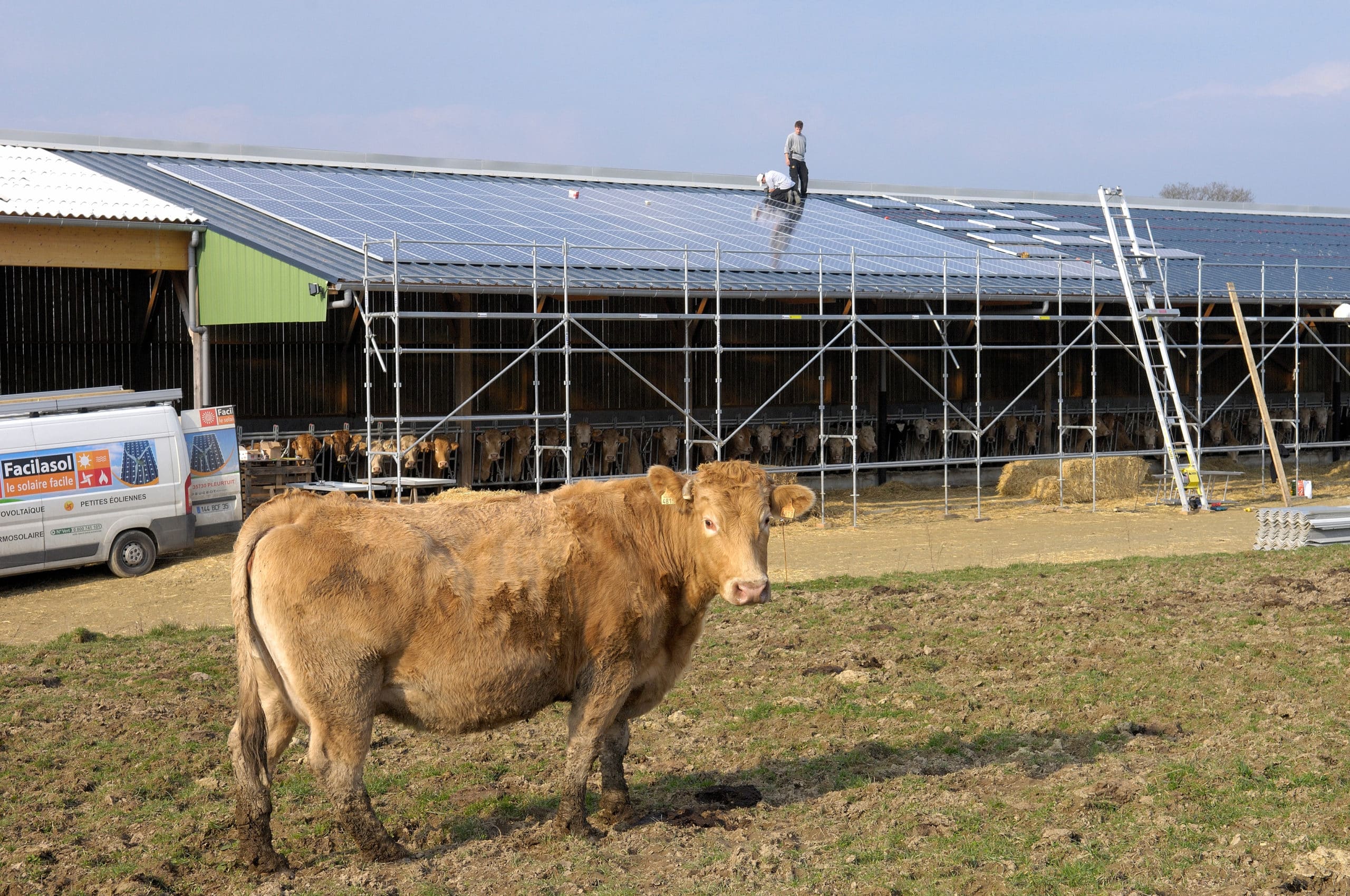 découvrez les prix compétitifs pour la construction de bâtiments agricoles équipés de panneaux photovoltaïques. optimisez vos coûts tout en investissant dans une solution énergétique durable et respectueuse de l'environnement.
