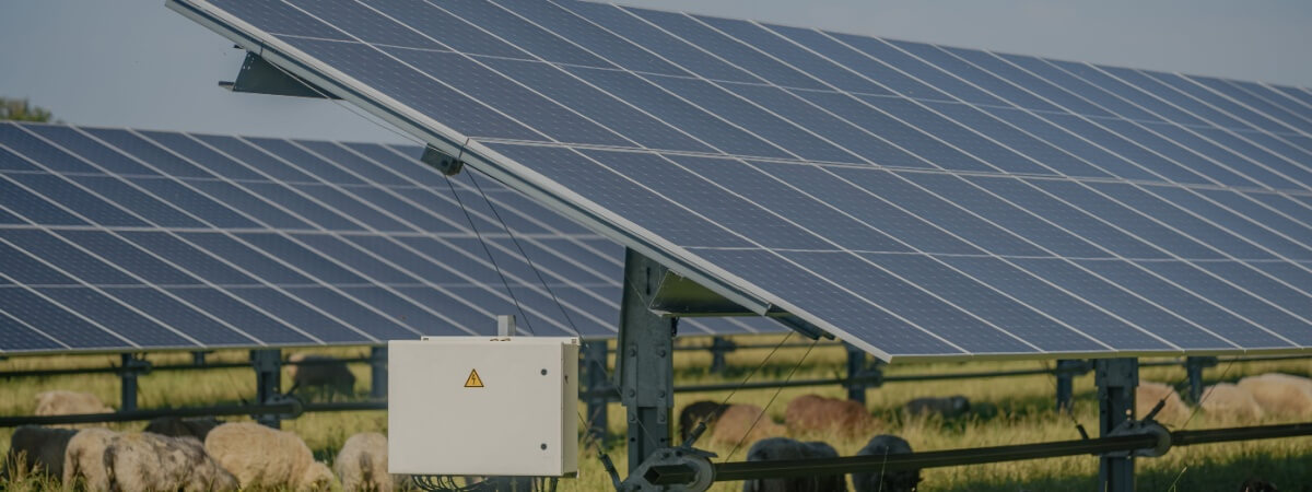 découvrez les prix des panneaux solaires fermes et les solutions d'énergie renouvelable adaptées à vos besoins. informez-vous sur les coûts, les subventions disponibles et les avantages d'investir dans l'énergie solaire pour un avenir durable.