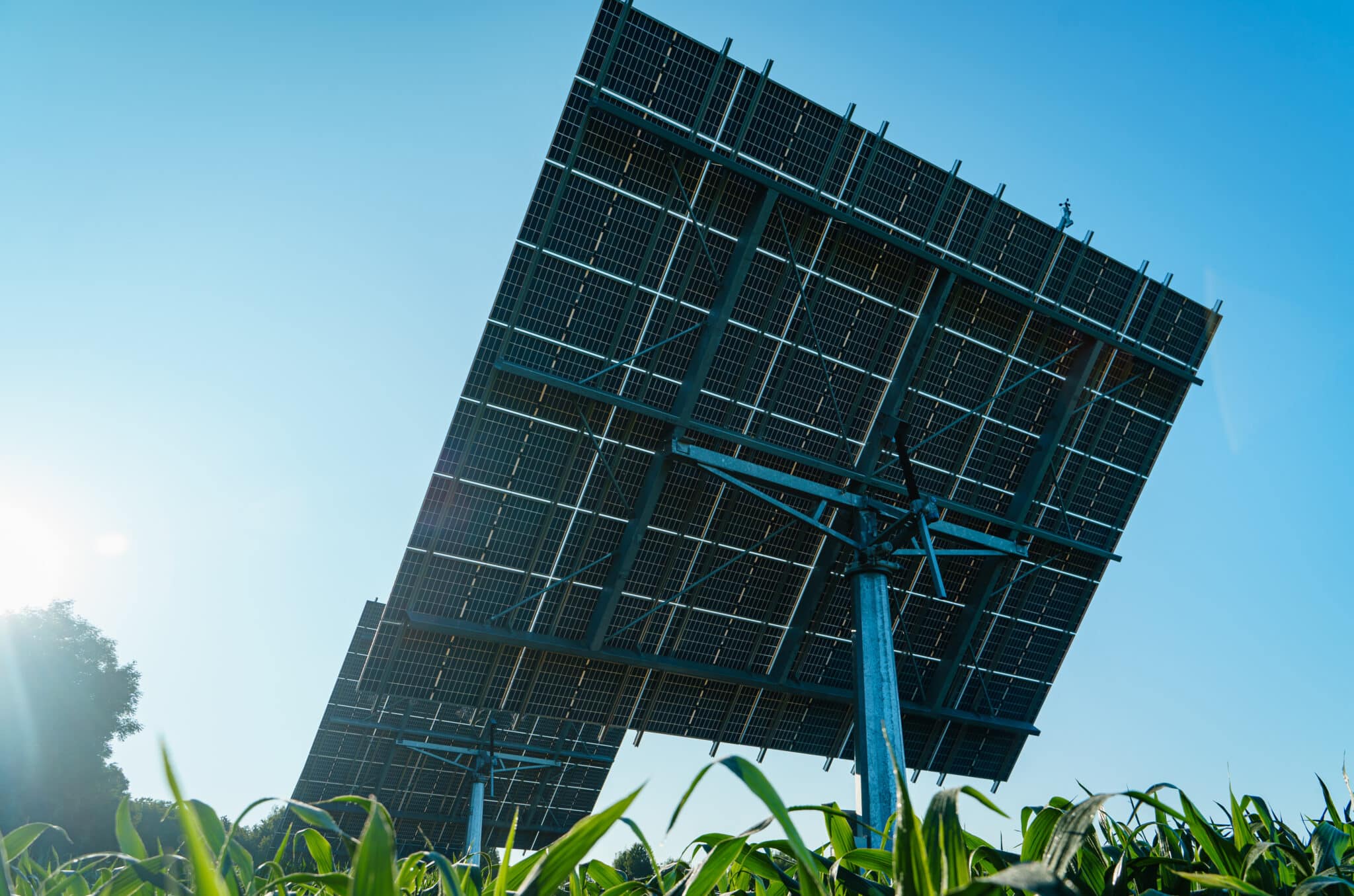découvrez les prix compétitifs des trackers solaires okwind, conçus pour maximiser la production d'énergie solaire. profitez d'une technologie innovante pour optimiser vos investissements en énergie renouvelable.