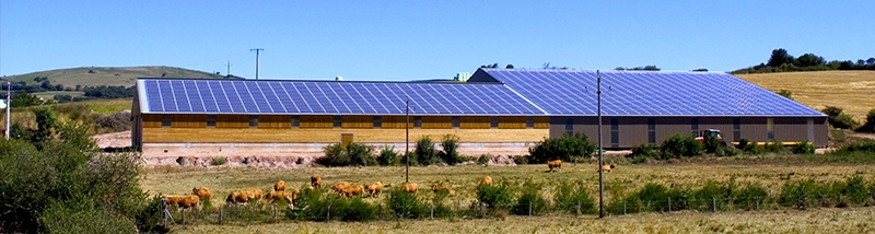 découvrez l'expertise d'un producteur photovoltaïque engagé dans la transition énergétique. profitez d'installations solaires performantes et durables pour réduire votre empreinte carbone et faire des économies sur votre facture d'électricité.