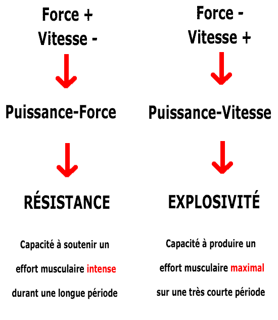 découvrez le concept de puissance, ses multiples facettes et son impact dans divers domaines tels que la physique, la psychologie et la gestion. explorez comment cette notion essentielle influence notre quotidien et les performances humaines.