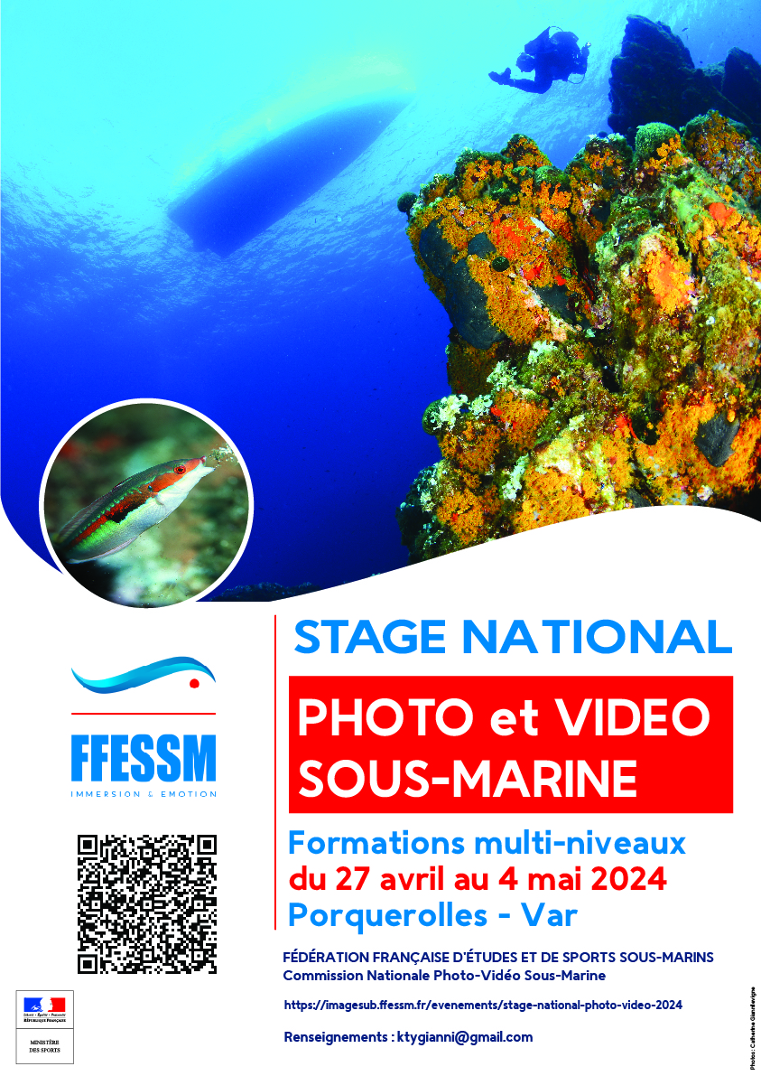 découvrez toutes les informations essentielles concernant le pv 2024 : nouveautés, réglementations et impacts. restez informé pour mieux naviguer dans les enjeux de l'année à venir.