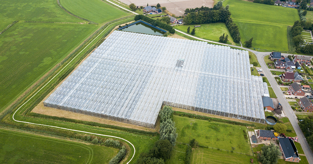 découvrez tout ce que vous devez savoir sur le pv agricole : ses avantages, son fonctionnement et son impact sur l'agriculture durable. informez-vous sur les meilleures pratiques et les innovations à venir dans le domaine des énergies renouvelables appliquées à l'agriculture.