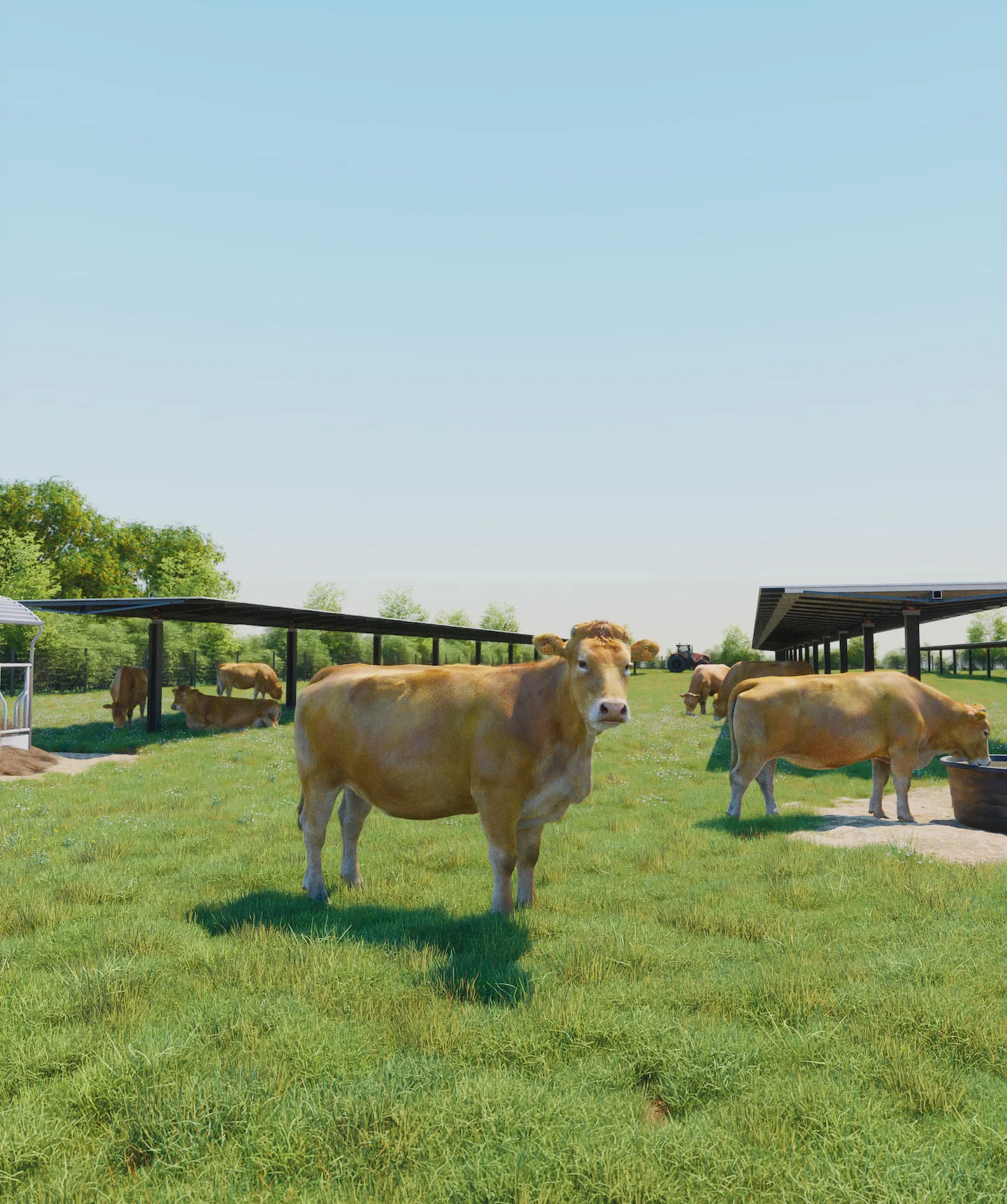 découvrez notre guide complet sur le pv élevage, une méthode innovante pour l'élevage durable, alliant efficacité et respect de l'environnement. apprenez des techniques, des conseils pratiques et les meilleures pratiques pour optimiser votre production animale tout en préservant la biodiversité.