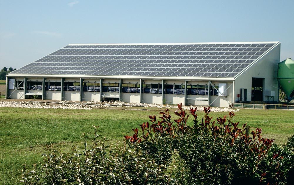 découvrez comment le rachat photovoltaïque agricole peut transformer votre exploitation, en vous permettant de valoriser vos terres tout en générant des revenus supplémentaires grâce à l'énergie solaire.