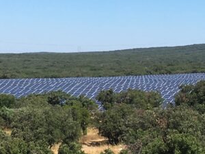 découvrez les solutions de rachat photovoltaïque pour valoriser votre production d'énergie solaire. optimisez vos revenus grâce à un contrat adapté à vos besoins et contribuez à la transition énergétique.