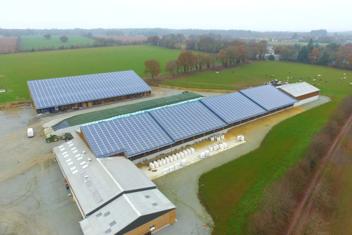 découvrez comment maximiser la rentabilité de votre installation photovoltaïque grâce à des conseils pratiques et des analyses de marché. optimisez votre investissement et réduisez vos coûts énergétiques tout en contribuant à un avenir durable.