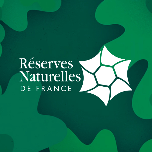 découvrez notre service réservé, spécialement conçu pour vous offrir une expérience unique et personnalisée. bénéficiez d'un accès exclusif à des fonctionnalités premium et à un accompagnement sur-mesure. profitez de moments privilégiés avec nous dès maintenant.