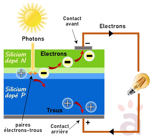 découvrez le schéma photovoltaïque, un guide détaillé qui illustre le fonctionnement des panneaux solaires et leur intégration dans des systèmes d'énergie renouvelable. apprenez comment convertir l'énergie solaire en électricité et les avantages de cette technologie pour un avenir plus durable.