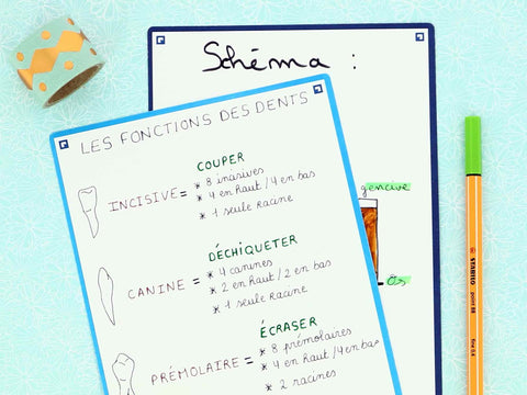 découvrez nos schémas explicatifs pour mieux comprendre des concepts complexes. que vous soyez étudiant ou professionnel, nos illustrations claires et pédagogiques vous aideront à visualiser et assimiler l'information efficacement.