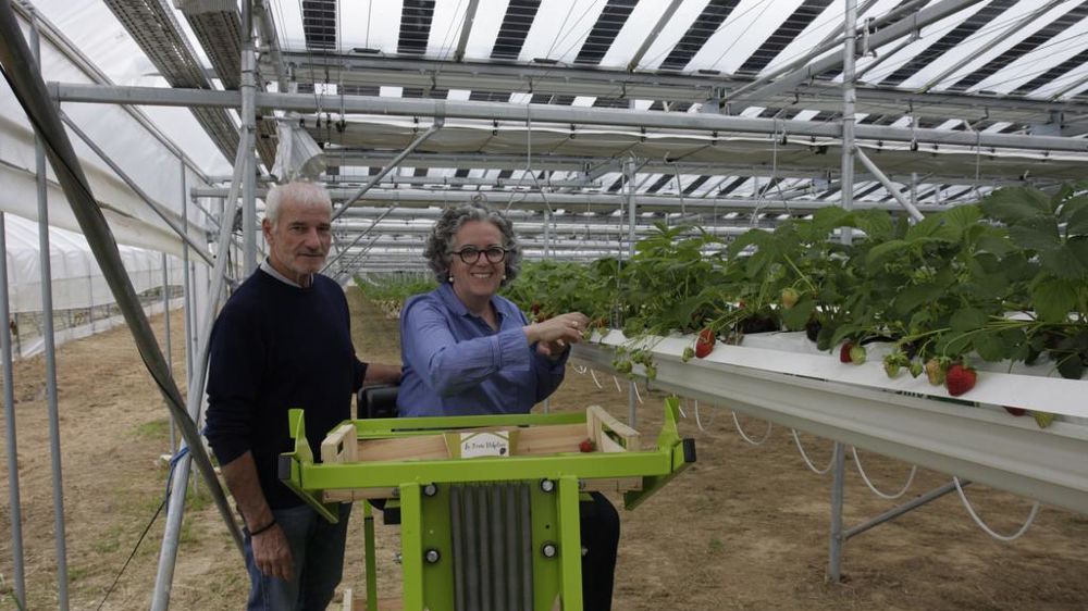 découvrez les serres photovoltaïques, une solution innovante qui allie agriculture durable et production d'énergie solaire. maximisez vos récoltes tout en réduisant votre empreinte carbone grâce à cette technologie écologique.