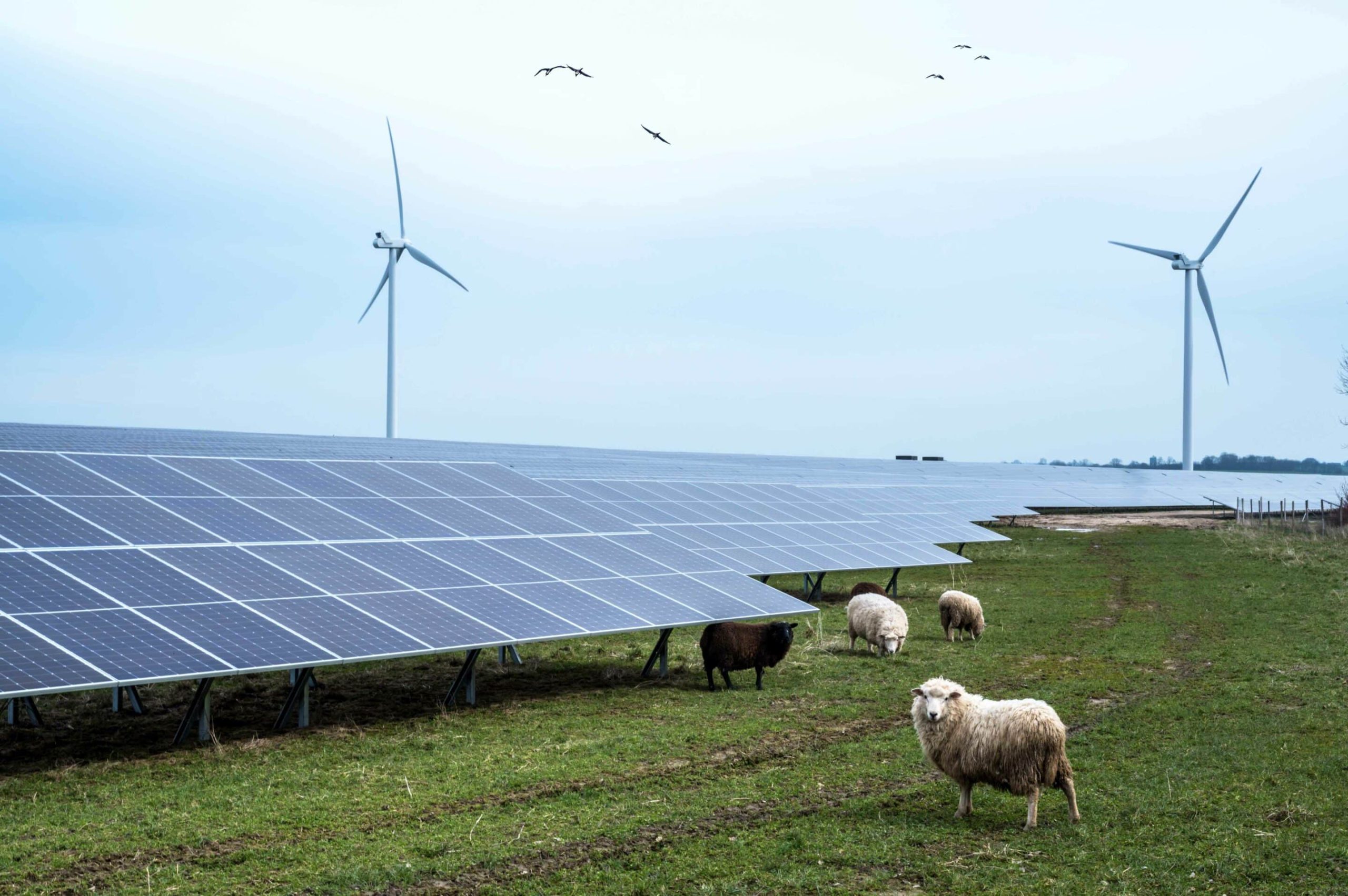 découvrez notre guide complet sur les énergies renouvelables, notamment l'énergie solaire et éolienne. apprenez comment ces solutions durables contribuent à préserver l'environnement et réduire vos factures d'énergie. explorez les avantages, l'installation et les innovations dans le domaine des panneaux solaires et des éoliennes.