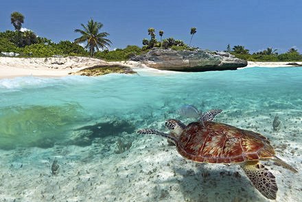 découvrez l'aventure sur l'île ensoleillée 2, un lieu paradisiaque où les plages dorées, la nature luxuriante et les activités palpitantes s'unissent pour créer des souvenirs inoubliables. évadez-vous et plongez dans un univers d'évasion et de détente.