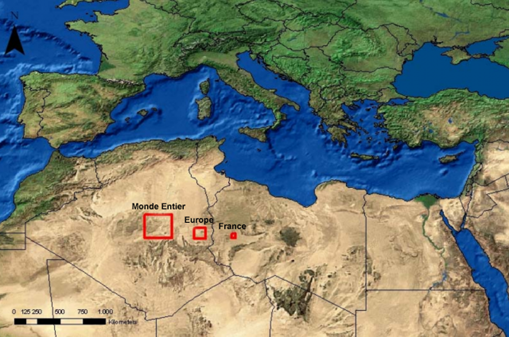découvrez l'importance de la surface dédiée aux panneaux solaires pour maximiser votre production d'énergie. apprenez comment optimiser l'espace disponible et choisir le bon type de panneaux solaires pour répondre à vos besoins énergétiques.