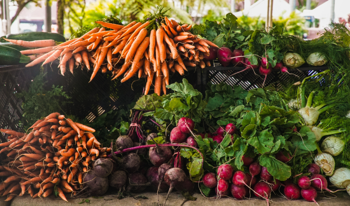 découvrez notre sélection de surplus, où vous trouverez des produits de qualité à des prix imbattables. profitez d'offres exceptionnelles sur une variété d'articles, allant de l'habillement à l'équipement électronique. ne manquez pas cette occasion de faire des économies tout en accédant à des produits tendance et pratiques.