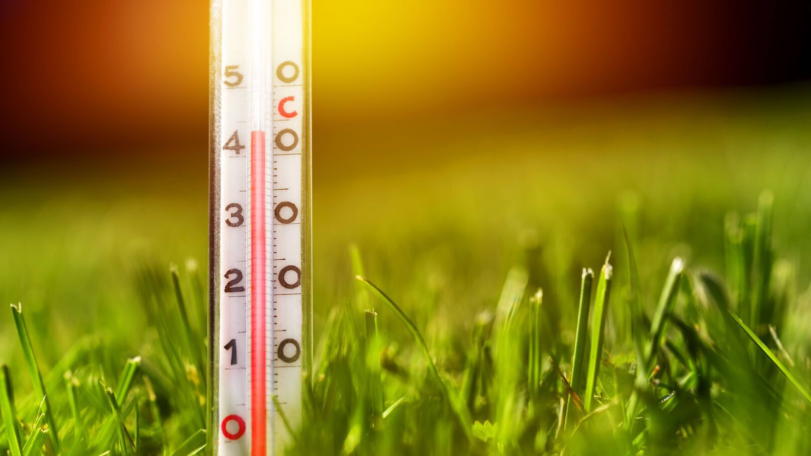 découvrez la météo de demain avec les prévisions de température détaillées. restez informé(e) des variations climatiques pour mieux planifier votre journée.