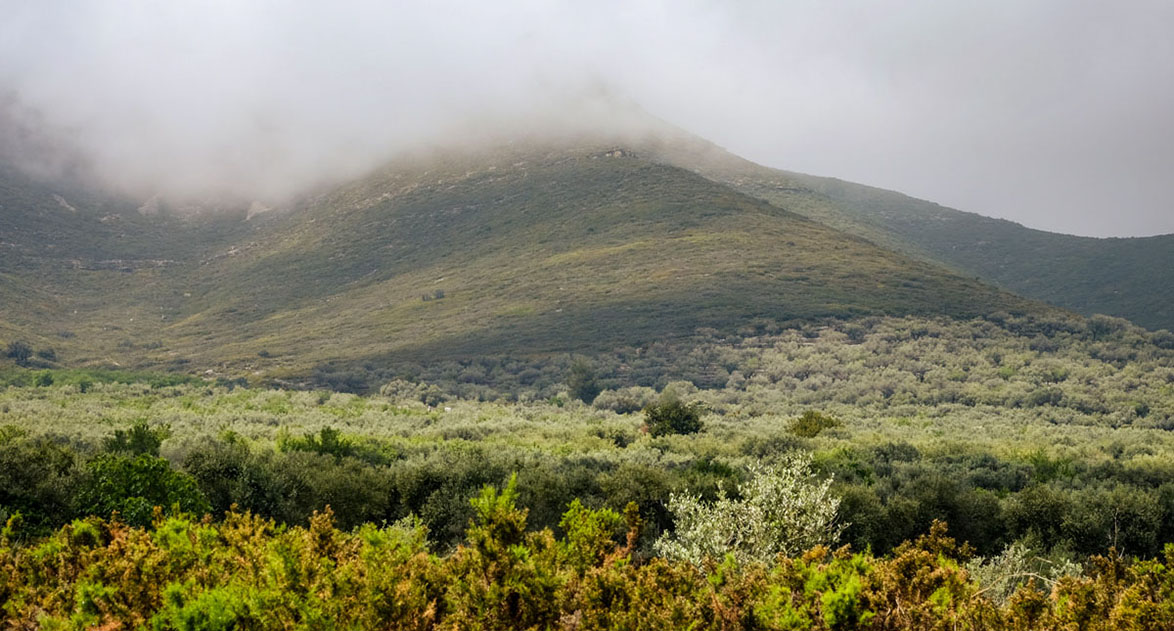 découvrez les prévisions pour un temps nuageux : températures, chances de pluie et conseils pour profiter de votre journée malgré les nuages. restez informé sur les conditions météorologiques pour planifier vos activités.