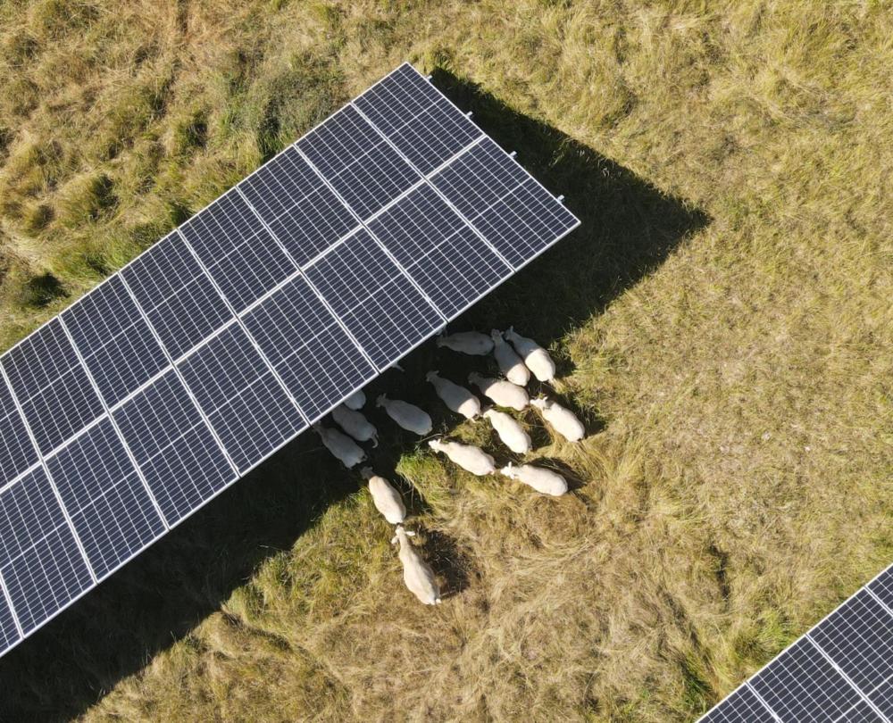 découvrez les dernières tendances photovoltaïques en france, explorez les innovations, les technologies émergentes et les opportunités d'investissement dans le domaine de l'énergie solaire. restez informé des évolutions qui façonnent l'avenir de l'énergie renouvelable en france.
