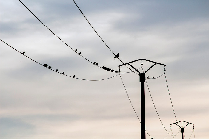 découvrez tout sur la tension edf : types, normes et implications pour votre installation électrique. informez-vous sur les enjeux de la tension électrique fournie par edf et comment cela impacte votre consommation et votre sécurité.