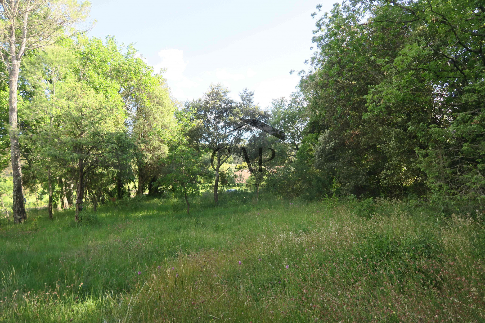 découvrez notre terrain spacieux de 2000 m², idéal pour construire la maison de vos rêves ou développer un projet immobilier. profitez d'un environnement paisible et de nombreuses possibilités d'aménagement. ne manquez pas cette opportunité unique!