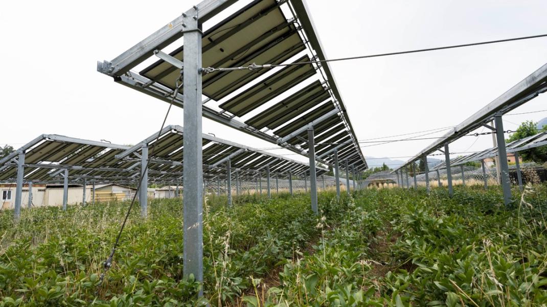 découvrez comment les terrains photovoltaïques transforment l'énergie solaire en électricité verte. maximisez l'utilisation de vos espaces en installant des panneaux solaires sur des terrains dédiés, tout en contribuant à un avenir durable.
