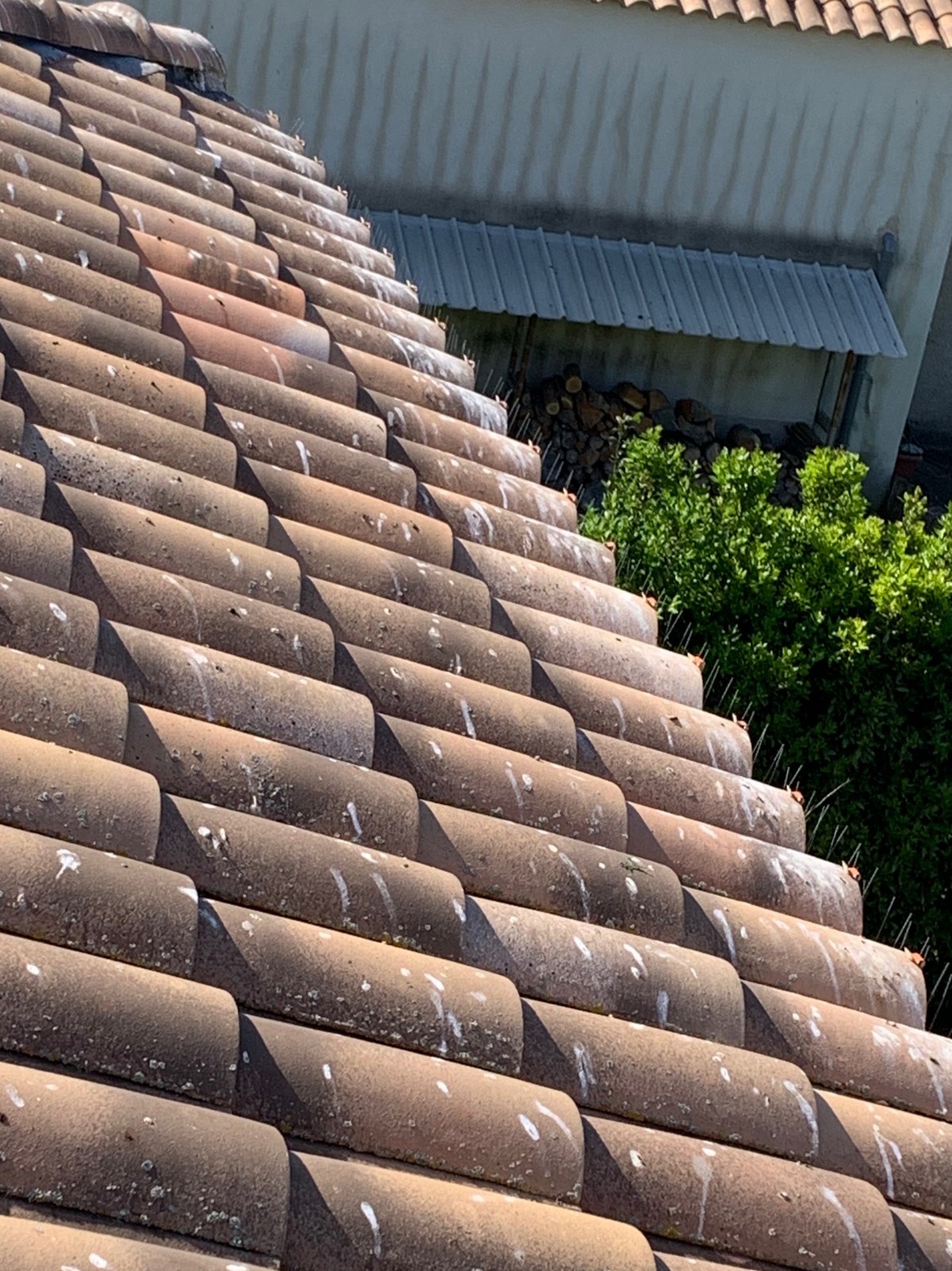 découvrez l'importance de la toiture commune dans l'architecture moderne. apprenez comment elle contribue à l'esthétique et à la durabilité des bâtiments tout en favorisant une meilleure gestion des espaces partagés. informez-vous sur les matériaux, les techniques et les avantages qui en découlent.