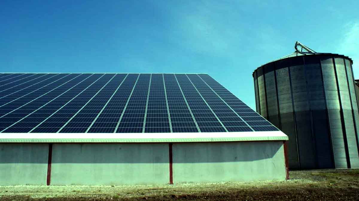 découvrez les avantages de la toiture photovoltaïque agricole : une solution durable pour produire de l'énergie renouvelable tout en préservant vos terres. maximisez votre rendement tout en contribuant à la transition énergétique.