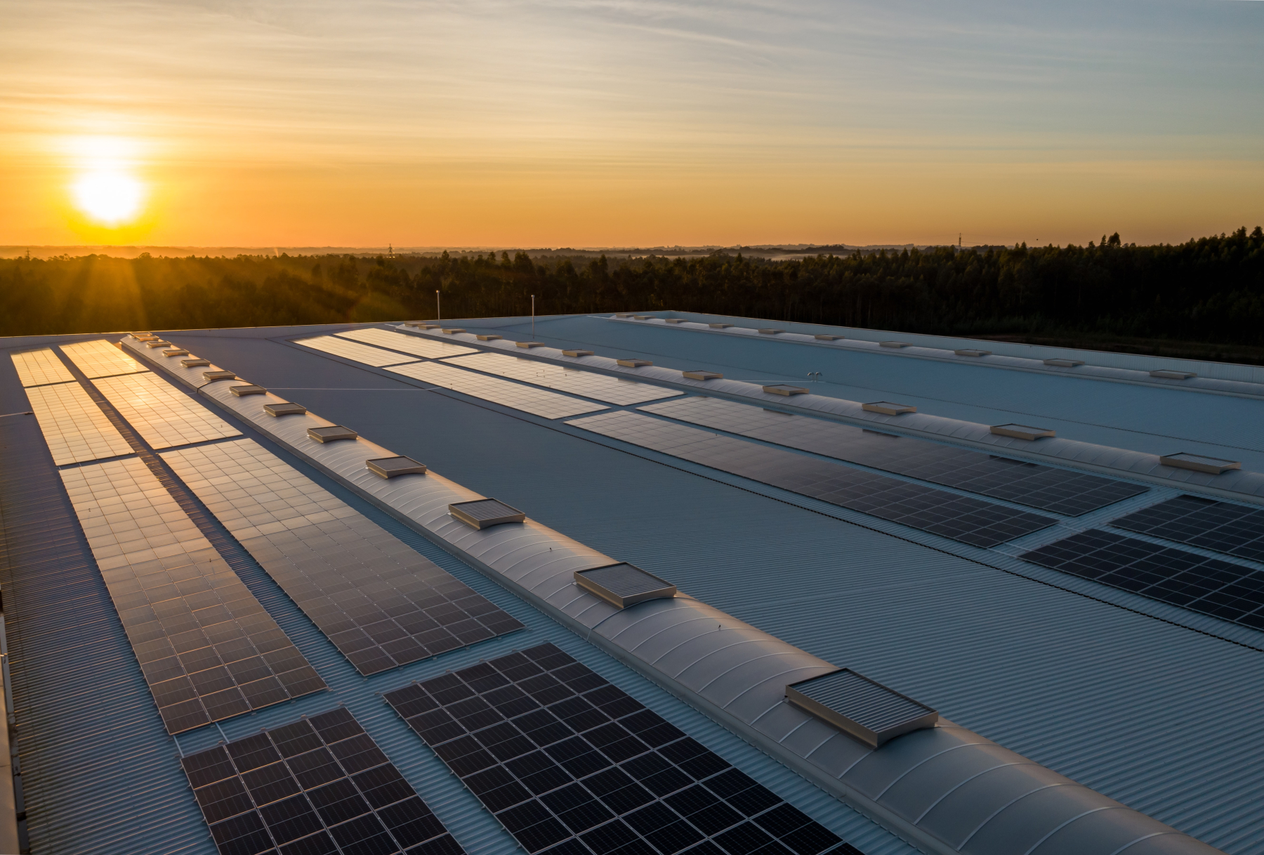 découvrez les avantages des toitures photovoltaïques industrielles, une solution écologique et rentable pour produire de l'électricité. optimisez votre espace tout en réduisant vos coûts énergétiques et en contribuant au développement durable.