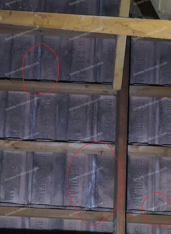 découvrez la tuile béton phenix, un choix alliant esthétisme et durabilité pour vos projets de couverture. résistante aux intempéries et disponible dans une gamme de couleurs, elle est idéale pour moderniser votre toiture tout en bénéficiant d'une excellente performance thermique.