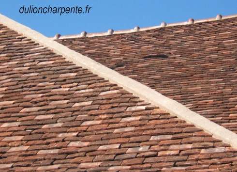 découvrez l'élégance intemporelle de la tuile bourgogne, un matériau de toiture qui allie esthétisme et durabilité. idéale pour les projets de rénovation ou de construction, cette tuile apportera une touche authentique et traditionnelle à votre habitat tout en offrant une excellente protection contre les intempéries.