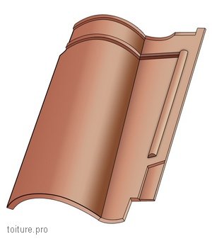 découvrez notre sélection de tuiles double canal, idéales pour assurer une excellente étanchéité et une esthétique traditionnelle à votre toiture. parfaites pour les projets de construction ou de rénovation, nos tuiles allient qualité et performance.