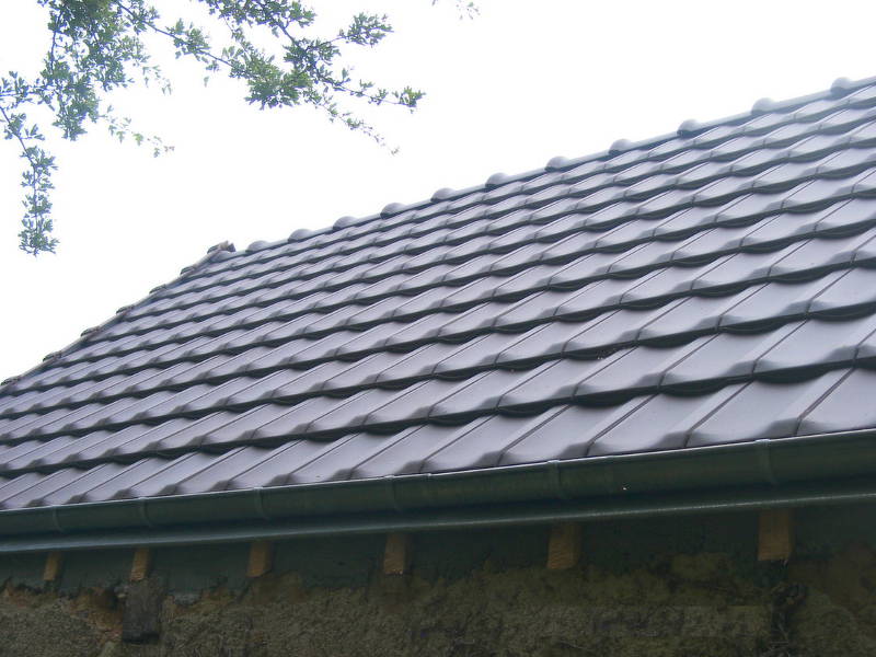 découvrez la tuile h10, un choix idéal pour allier esthétique et performance dans vos projets de toiture. fabriquée avec des matériaux de haute qualité, elle assure une excellente résistance aux intempéries tout en offrant un design élégant et moderne. optez pour la durabilité et le style avec la tuile h10.