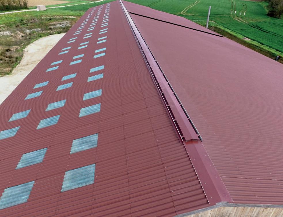 découvrez les tuiles canal en fibrociment, une solution idéale pour allier esthétique et durabilité dans vos projets de toiture. résistantes aux intempéries et faciles à entretenir, ces tuiles offrent un style traditionnel tout en garantissant une protection optimale. parfaites pour rénover ou construire votre habitat, choisissez la qualité du fibrociment pour une toiture performante.