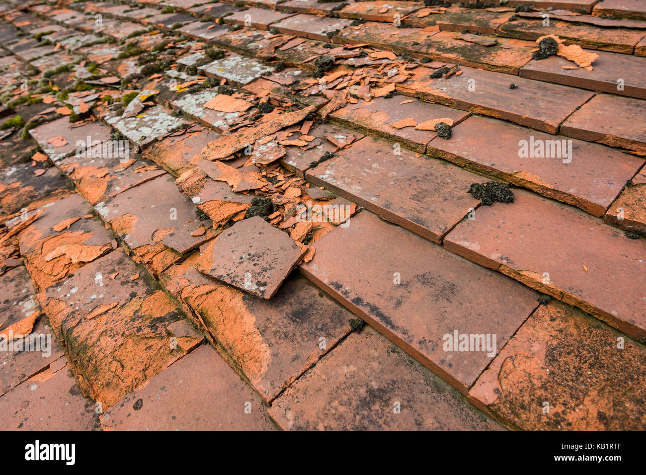 découvrez nos solutions pour réparer ou remplacer vos tuiles cassées. préservez l'intégrité de votre toit et évitez les infiltrations d'eau grâce à nos conseils et produits adaptés.