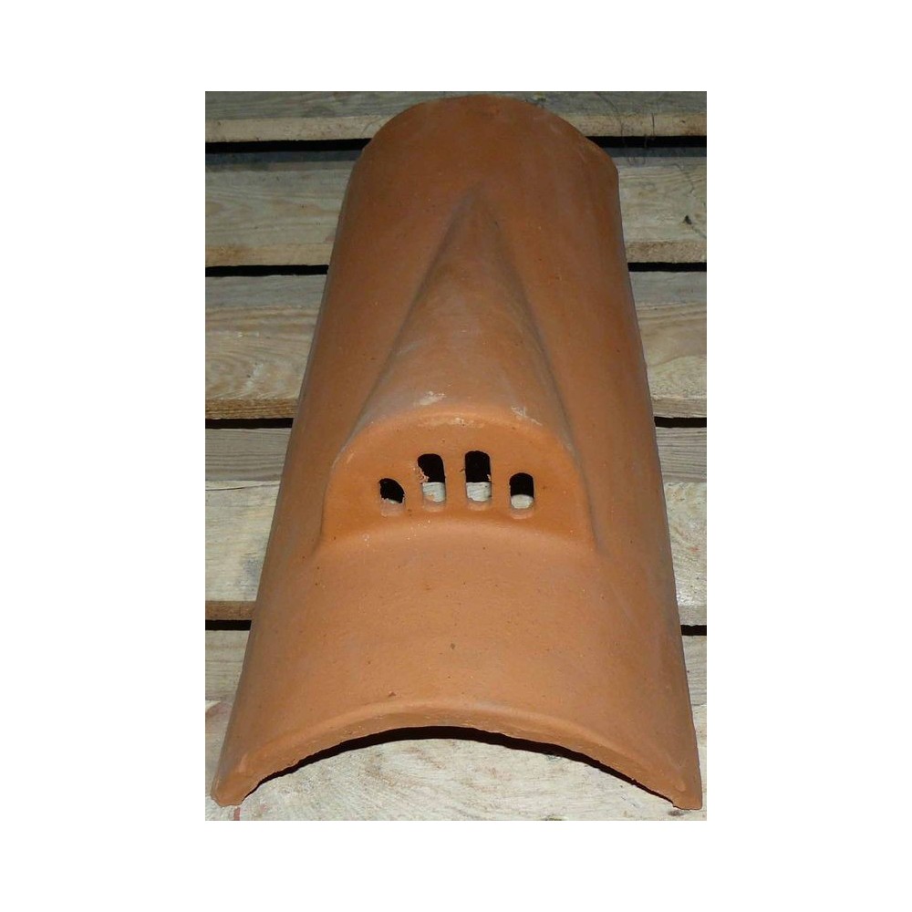 découvrez nos tuiles chatières de haute qualité, spécialement conçues pour assurer une ventilation efficace de votre toiture tout en préservant l'esthétique de votre maison. idéales pour prévenir l'accumulation d'humidité, nos tuiles sont disponibles dans différents styles et couleurs pour s'adapter à votre projet. optez pour des solutions durables pour un habitat sain!