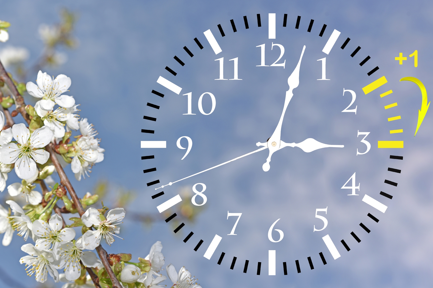 découvrez les différentes variations d'heures entre l'été et l'hiver. comprenez l'impact du changement d'heure sur notre quotidien et les raisons derrière cette pratique. informez-vous sur l'harmonisation des activités saisonnières et les effets sur notre horloge biologique.