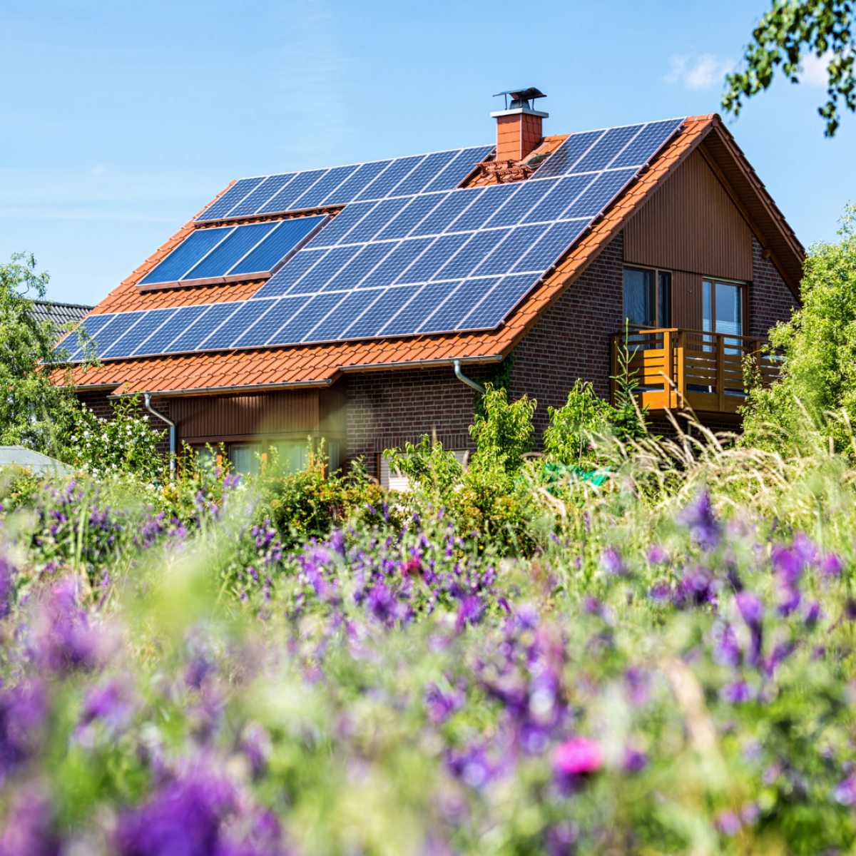 découvrez notre offre exceptionnelle de panneaux solaires à prix compétitifs. optimisez votre consommation d'énergie et réduisez votre facture avec des solutions écologiques et durables. contactez-nous dès aujourd'hui pour un devis personnalisé!