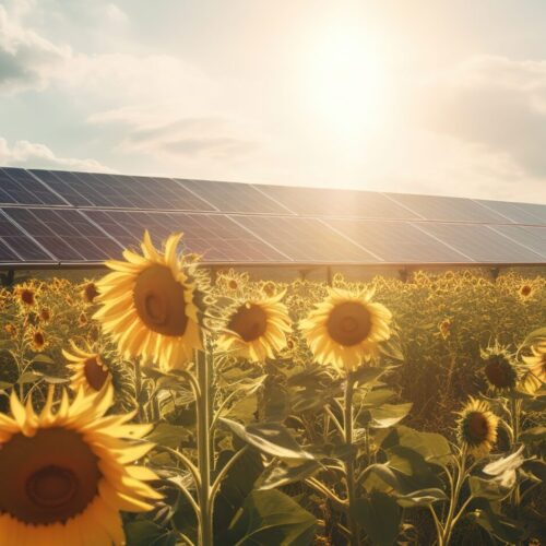 découvrez le zonage photovoltaïque, une approche stratégique pour optimiser l'installation de panneaux solaires. apprenez comment cette méthode contribue à une énergie durable tout en respectant les réglementations locales. explorez les bénéfices environnementaux et économiques du zonage pour votre projet solaire.