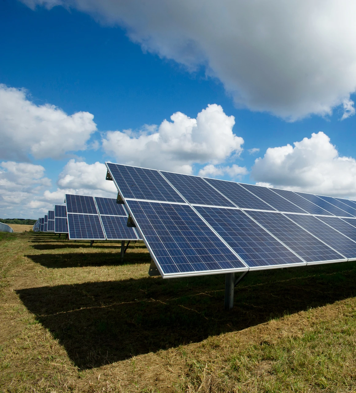 découvrez les solutions d'assurance pour vos panneaux solaires. protégez votre investissement et assurez la performance de votre installation grâce à des garanties adaptées. informez-vous sur les couvertures disponibles et les avantages d'une assurance dédiée.