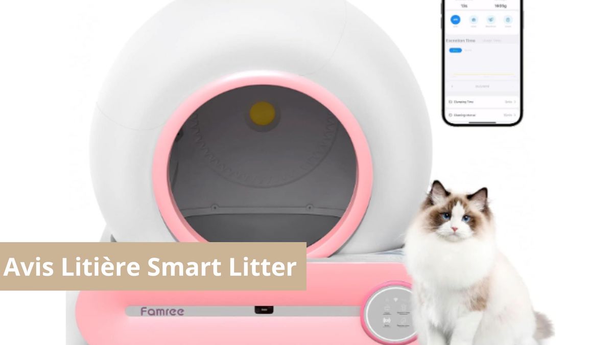 découvrez notre avis sur les litières intelligentes : analyse des fonctionnalités, avantages et inconvénients pour vous aider à choisir la meilleure option pour votre chat.