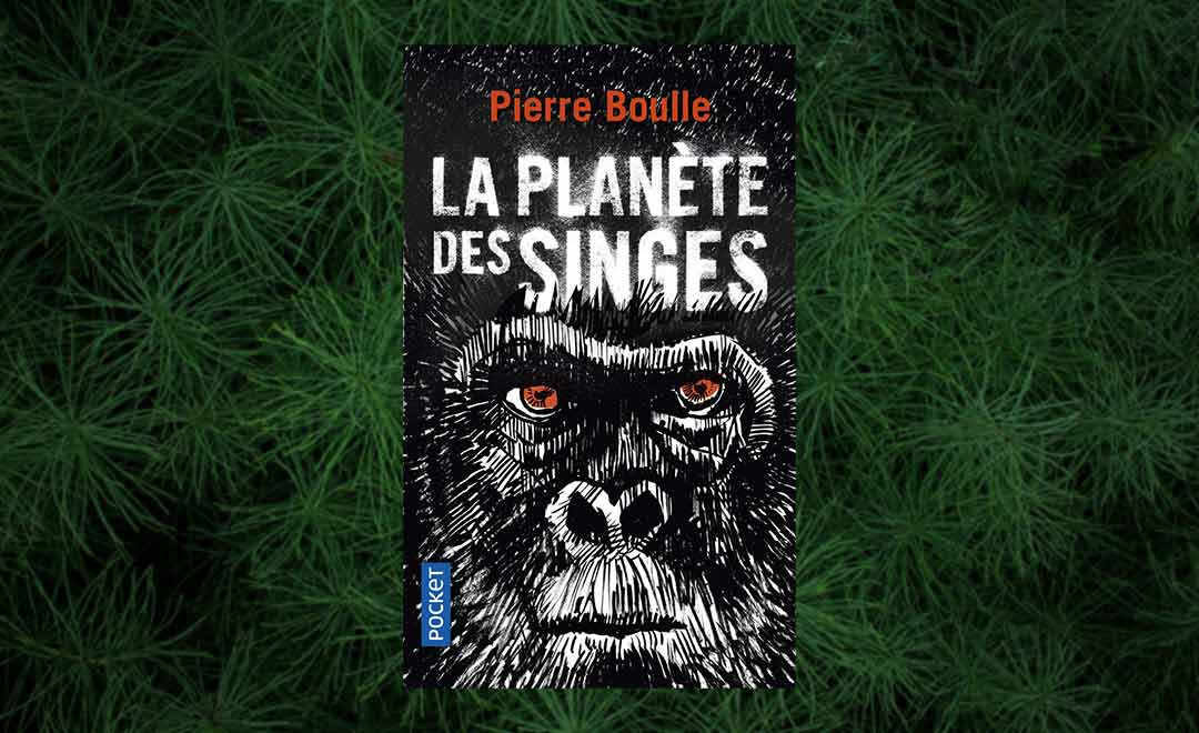 découvrez les avis sur la planète : analyses, réflexions et débats autour des enjeux environnementaux et des initiatives écologiques. participez à la discussion et informez-vous sur les actions à mener pour préserver notre terre.