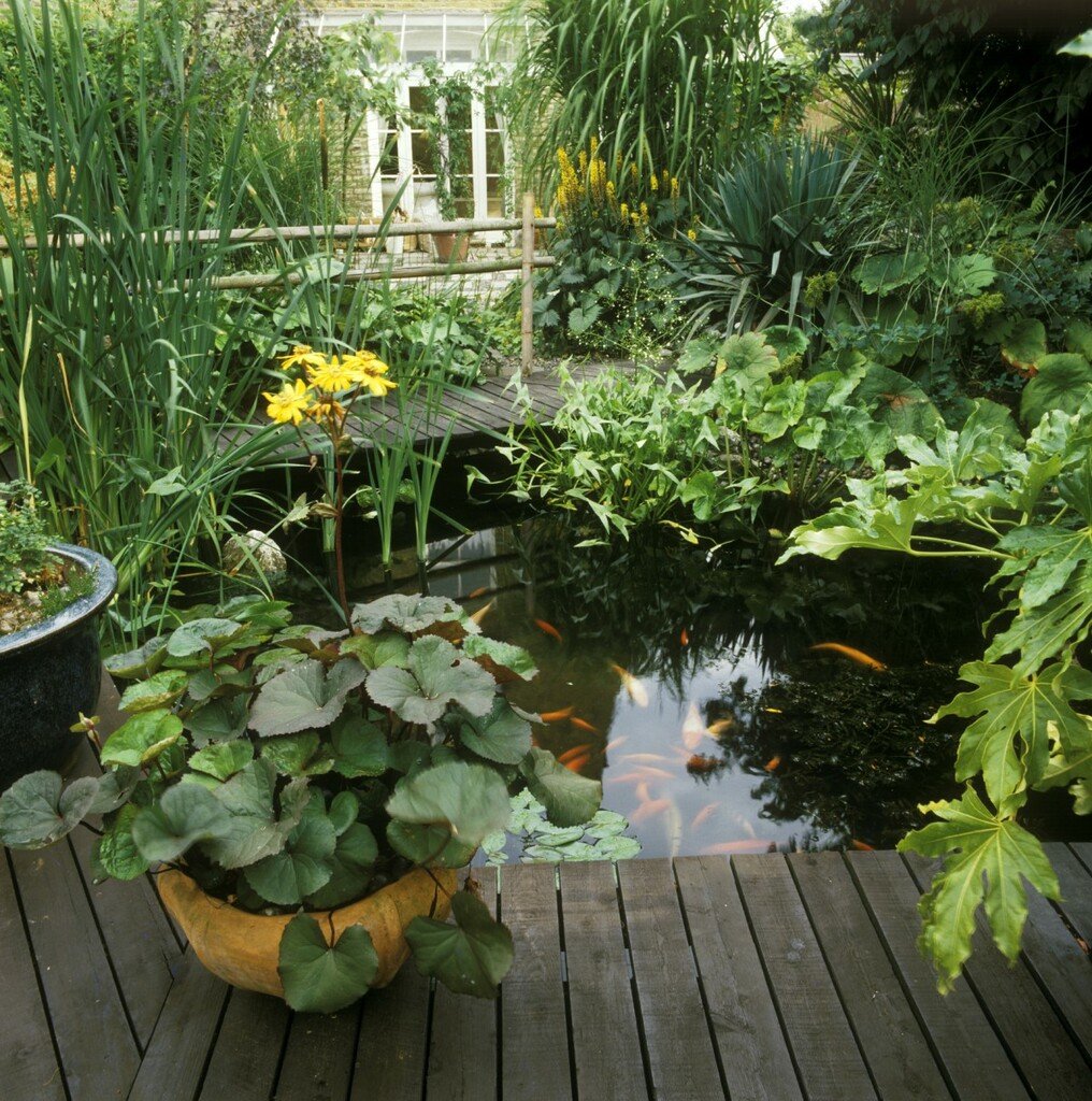 découvrez comment transformer votre jardin en un havre de paix avec un bassin jardin. aménagez un espace zen, propice à la détente, tout en apportant une touche naturelle et esthétique à votre extérieur. suivez nos conseils pour créer un bassin harmonieux et accueillant.