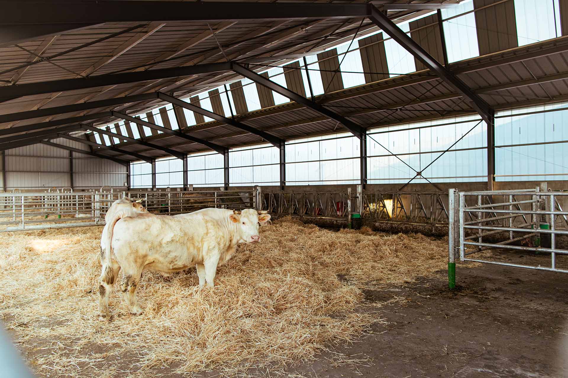 découvrez comment bénéficier d'un bâtiment photovoltaïque gratuit et transformer votre consommation d'énergie. profitez d'énergie renouvelable, réduisez vos factures et contribuez à la protection de l'environnement grâce à des solutions innovantes et accessibles.