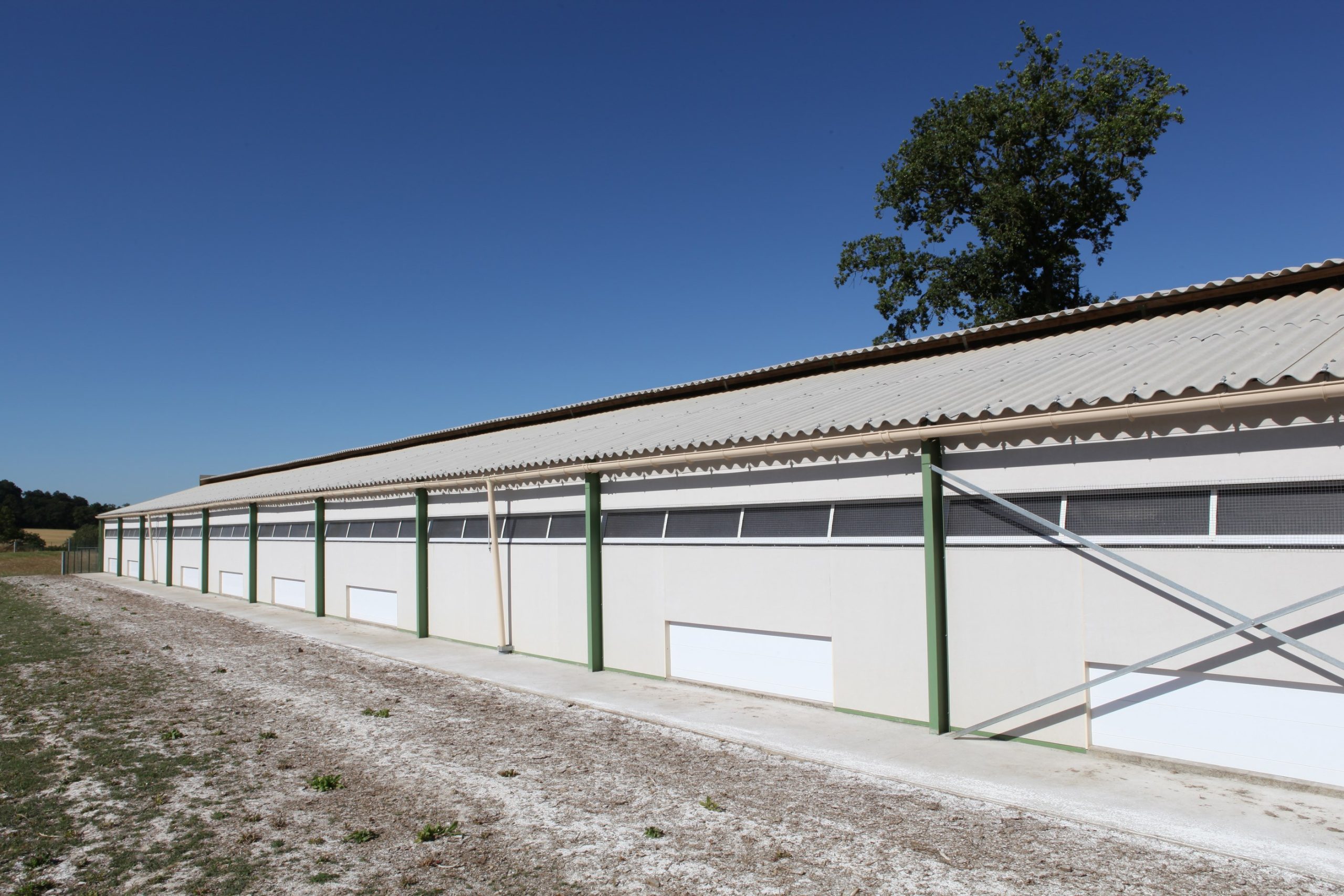 découvrez nos bâtiments avicoles performants et durables, conçus pour optimiser la production avicole tout en garantissant le bien-être des animaux. profitez de solutions innovantes en photovoltaïque pour une agriculture durable et respectueuse de l'environnement.