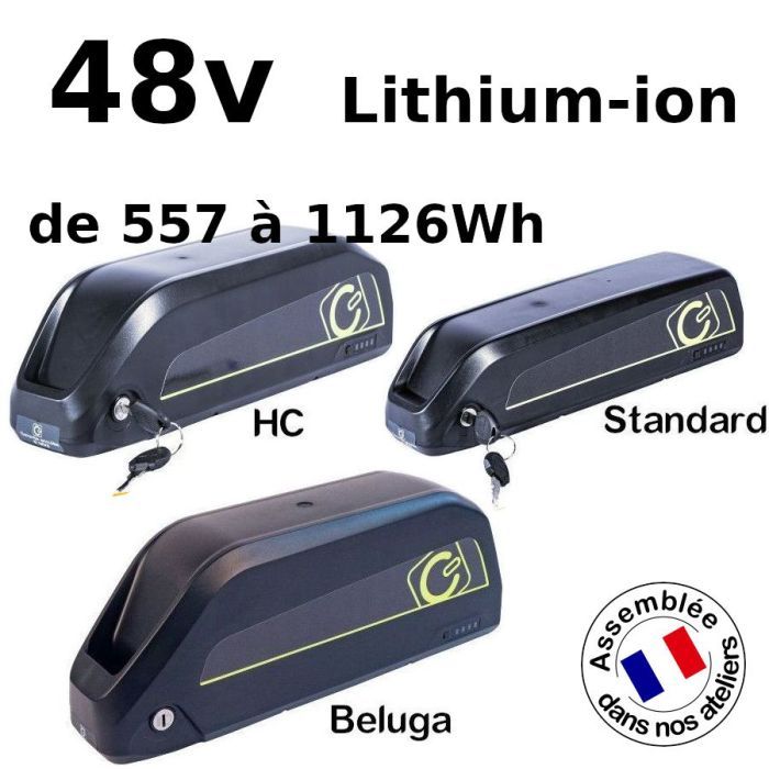 découvrez notre gamme de batteries 48v, idéales pour optimiser vos performances énergétiques. que ce soit pour des applications industrielles, des véhicules électriques ou des systèmes solaires, nos batteries allient puissance, durabilité et écologie. profitez de solutions sur mesure adaptées à vos besoins.