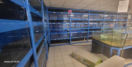 découvrez notre sélection de batteries pour aquarium, conçues pour assurer un fonctionnement optimal de vos équipements aquatiques. profitez d'une performance durable et fiable pour maintenir la santé de votre écosystème aquatique.