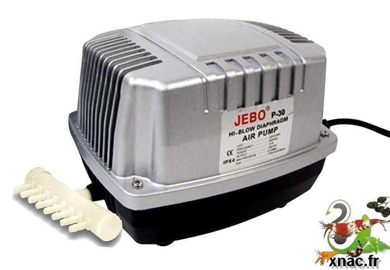 découvrez notre sélection de batteries pour aquarium, idéales pour assurer un éclairage et une filtration optimaux de votre environnement aquatique. profitez d'une expérience de plongée inégalée avec des équipements fiables et durables.